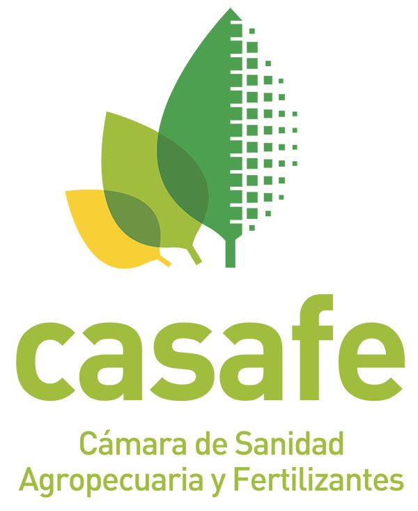 CASAFE